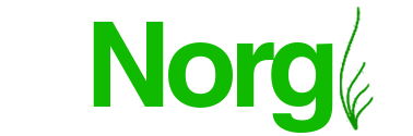 nandana organics logo